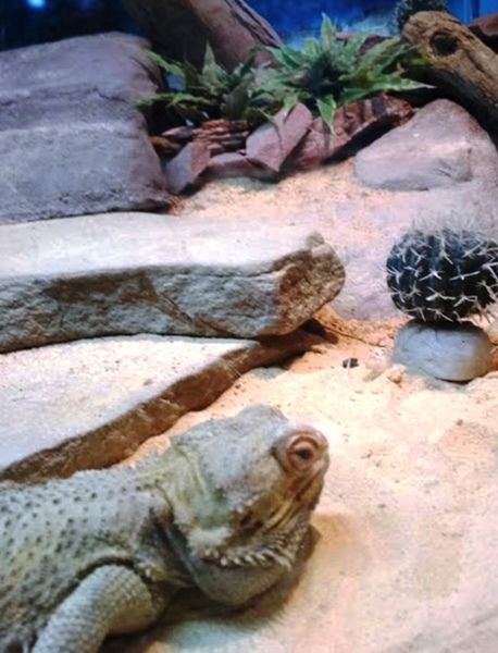 Deep Sea World, North Queesferry