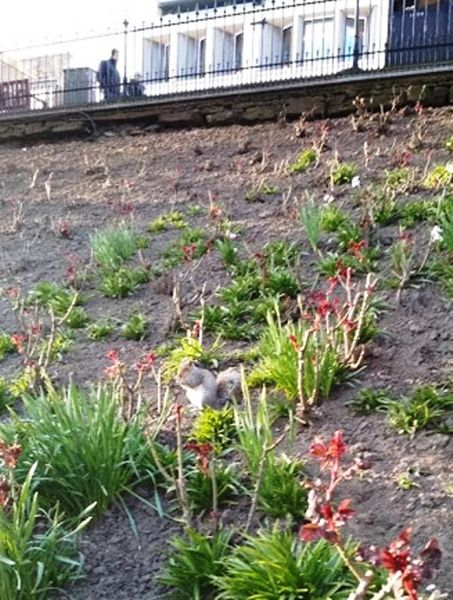 Princes Street Gardens