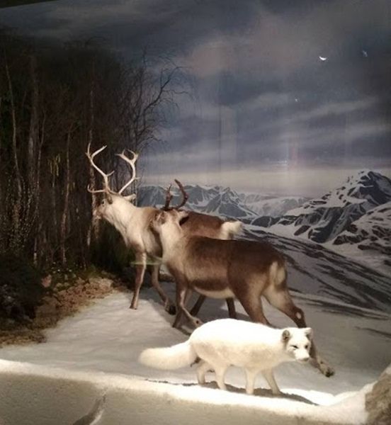 Skócia Nemzeti Múzeuma