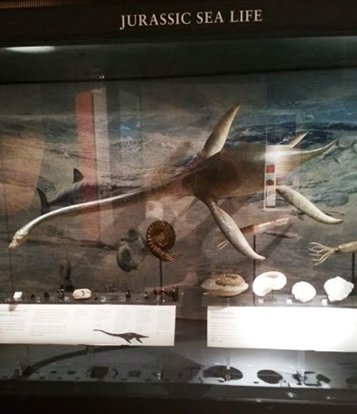 Skócia Nemzeti Múzeuma